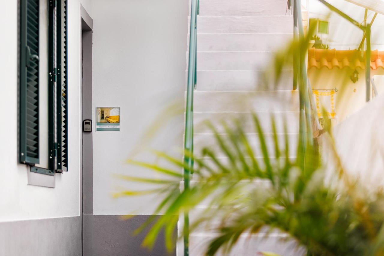 Quintinha Tropical - Panoramic Gateway To Madeira Hotell Funchal  Exteriör bild